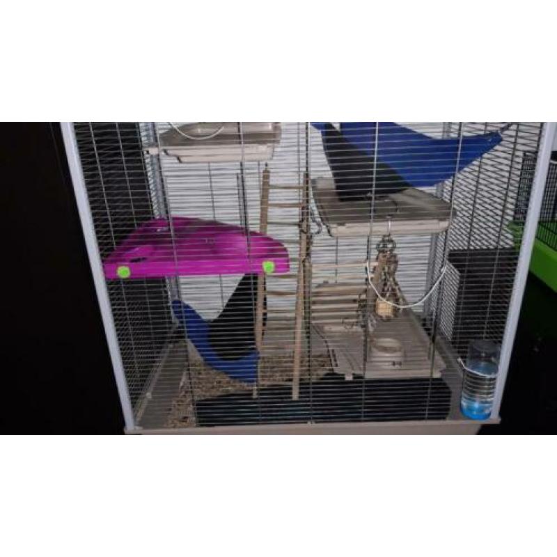 Rattenkooi 80 x 78 x 45cm