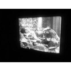 x 16mm film de Karper - kwekerij - duits doc - 1960 - zw/w -