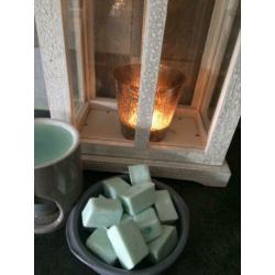 Huisgemaakte wax melts brandertje