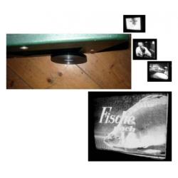x 16mm film de Karper - kwekerij - duits doc - 1960 - zw/w -