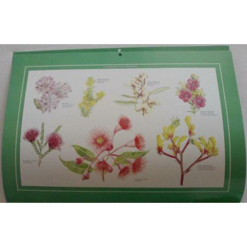 Wildflowers of Western Australia Calender 1995