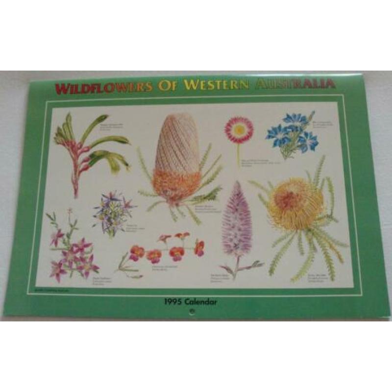 Wildflowers of Western Australia Calender 1995