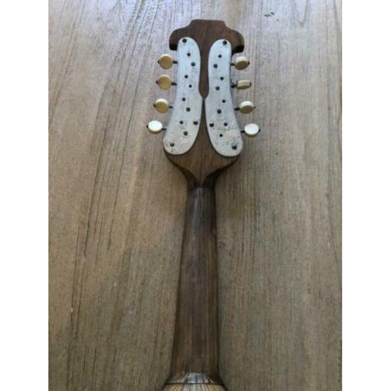 Antieke mandoline Luigi D’ Amore Napoli Italië vintage