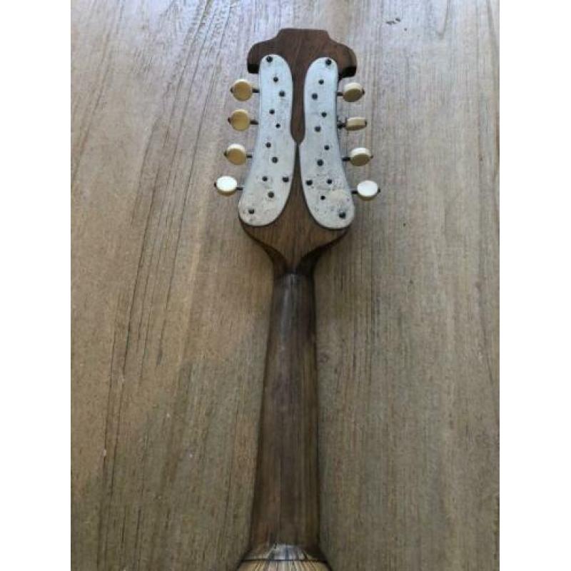 Antieke mandoline Luigi D’ Amore Napoli Italië vintage