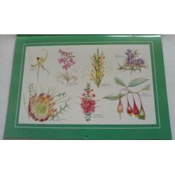 Wildflowers of Western Australia Calender 1995