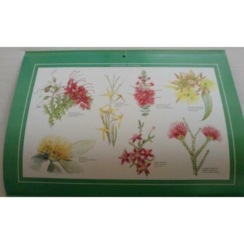 Wildflowers of Western Australia Calender 1995