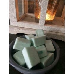 Huisgemaakte wax melts brandertje