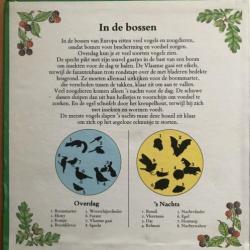 Natuurdraaiboek. Zes (draai-)plaatjes. Selberg en Miller.