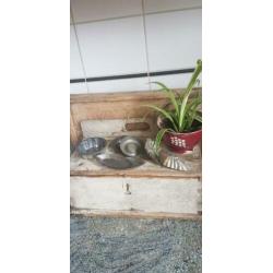 8 oude bakvormpjes samen 9 euro oud keukenspul brocante