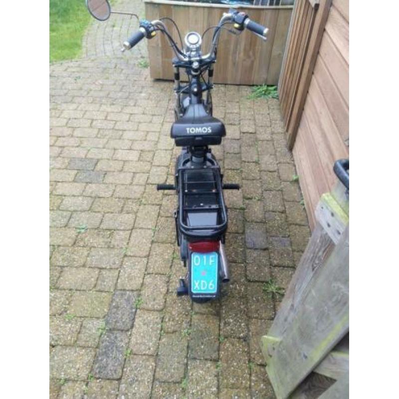 Tomos youngster