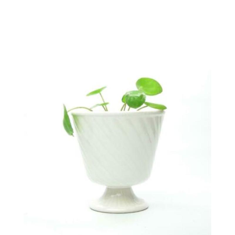 Vintage bloempot op voet wit ? 26.1