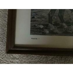 Oude PLAAT van Glenn Robertson Dunmor Kentucky, voor 7 euro.
