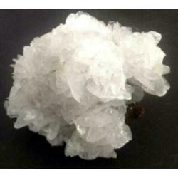 6 x mineraal Angelwing Calciet op Limoniet /Kwarts