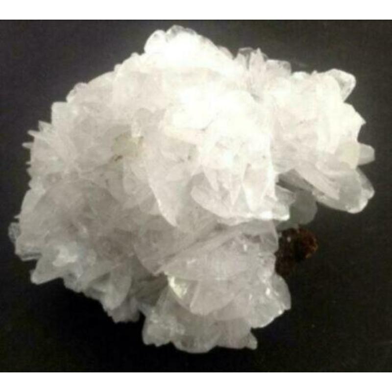 6 x mineraal Angelwing Calciet op Limoniet /Kwarts