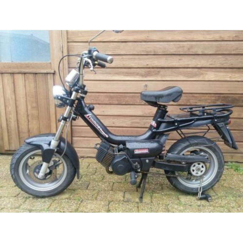 Tomos youngster