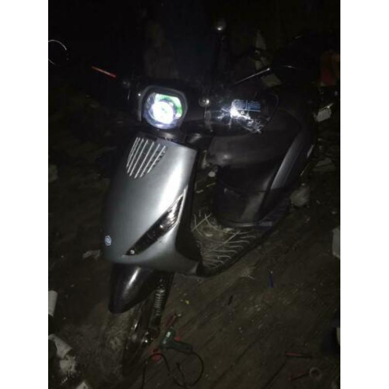 Zip 2000 sp snor