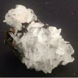 6 x mineraal Angelwing Calciet op Limoniet /Kwarts