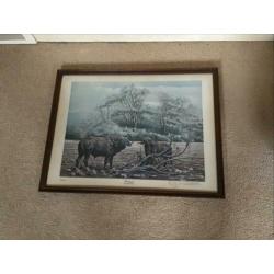 Oude PLAAT van Glenn Robertson Dunmor Kentucky, voor 7 euro.