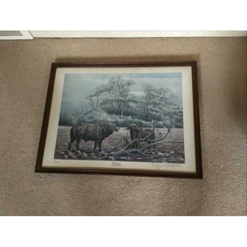 Oude PLAAT van Glenn Robertson Dunmor Kentucky, voor 7 euro.