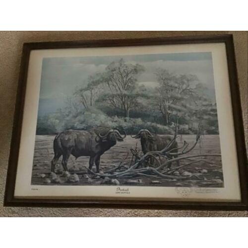 Oude PLAAT van Glenn Robertson Dunmor Kentucky, voor 7 euro.