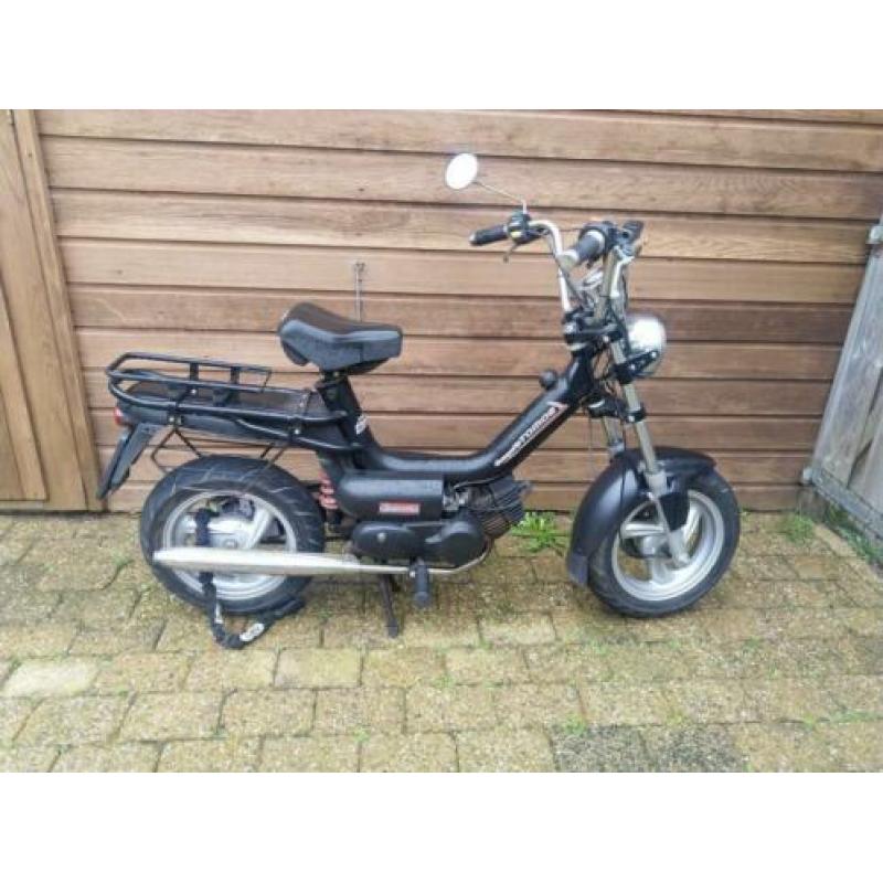 Tomos youngster