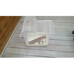 VOGEKOOI L47 x B35 x H58 met wat extra spulletjes