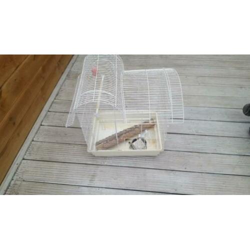 VOGEKOOI L47 x B35 x H58 met wat extra spulletjes