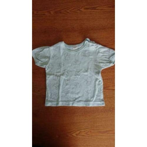 Shirt mintgroen poesjes - maat 74