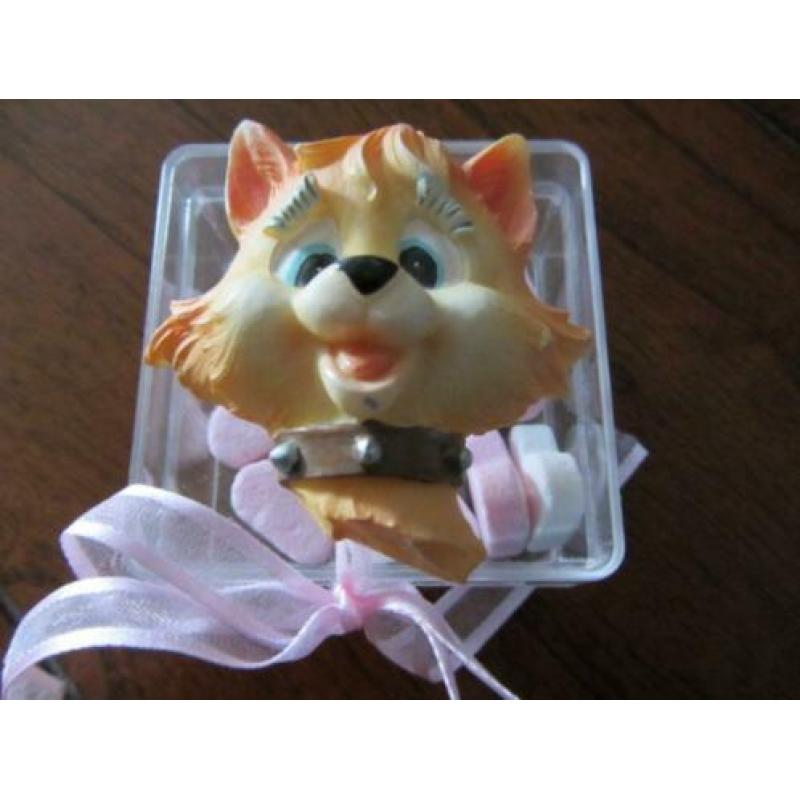 bedankje bedankjes-mooi plexi doosje met super leuke poes