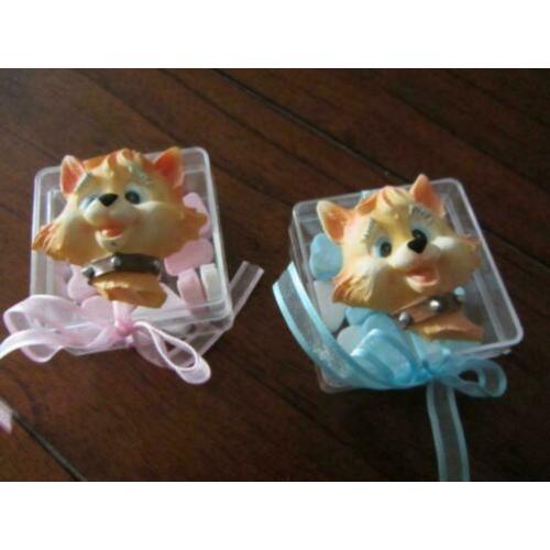 bedankje bedankjes-mooi plexi doosje met super leuke poes