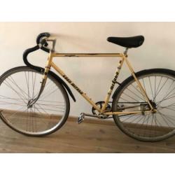 Singlespeed terugtrap rem fiets met koga mikaya frame