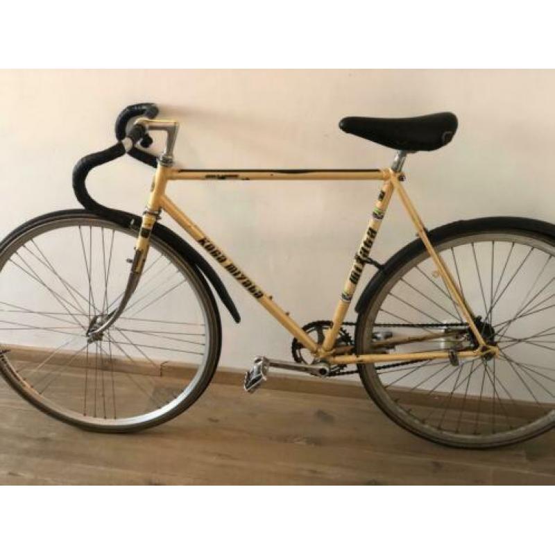 Singlespeed terugtrap rem fiets met koga mikaya frame