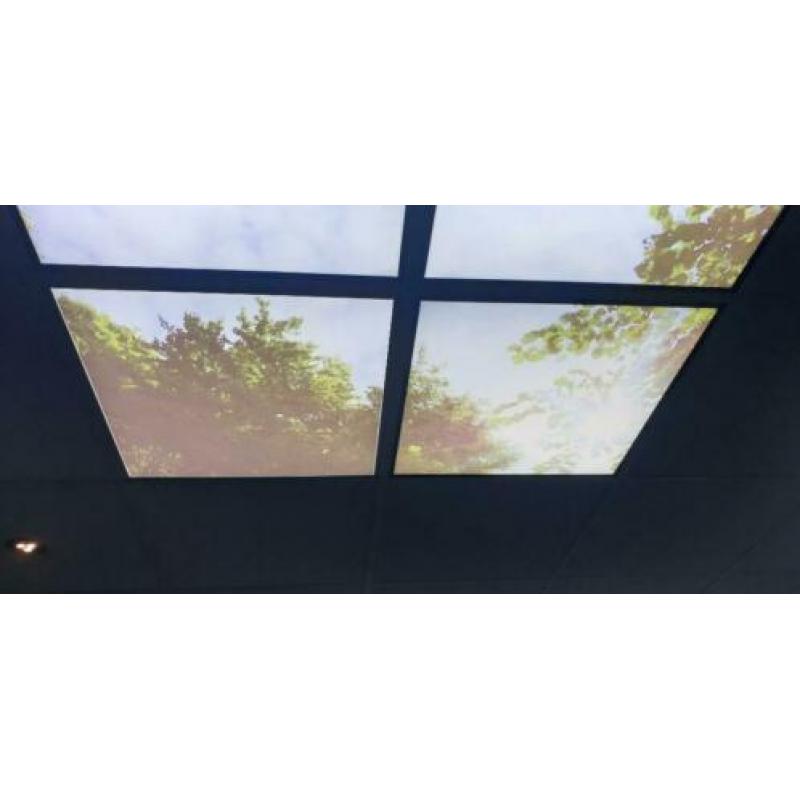 Plafondverbeelding wolkenplafond
