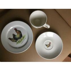 Servies kip haan Jet ter Steege