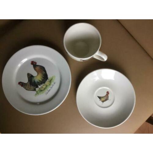 Servies kip haan Jet ter Steege