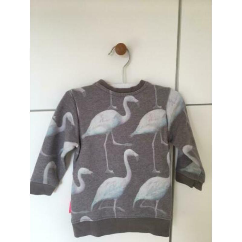Leuk sweatjurkje Noppies mt 74