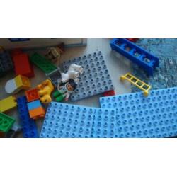 duplo partij