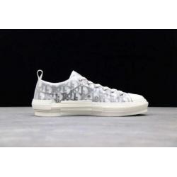 Dior b23 low sneaker allstar