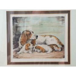 Antieke ingelijste ets uit Engeland van hond met puppies.