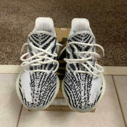 Yeezy boost 350 v2