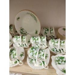 Royal Albert Trillium