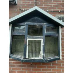 Te koop Duivenkooi / tortel