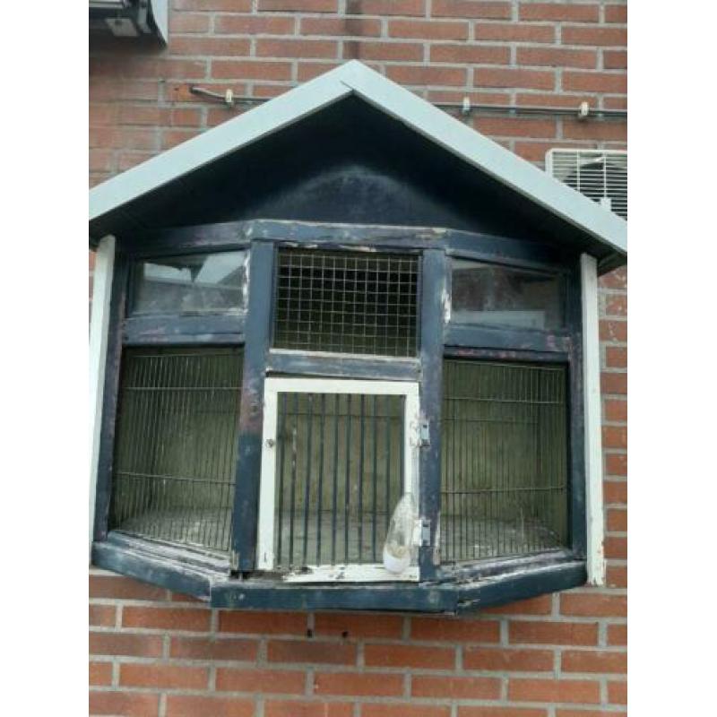 Te koop Duivenkooi / tortel