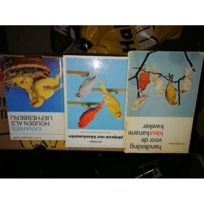 partij boeken