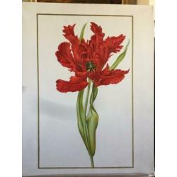 bloemschilderij