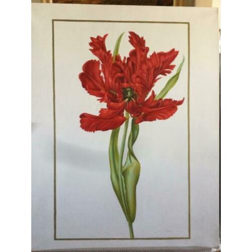 bloemschilderij