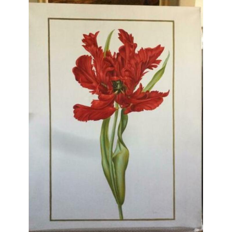 bloemschilderij