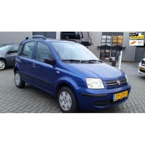 Fiat Panda 1.2 Edizione Cool