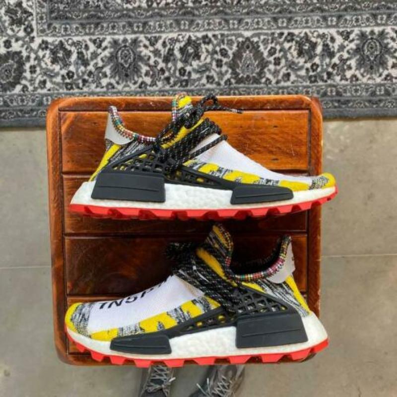 Pharrell Williams human race