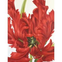 bloemschilderij